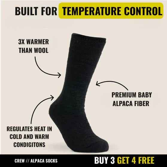 Alpaca Crew Socks - Everyday